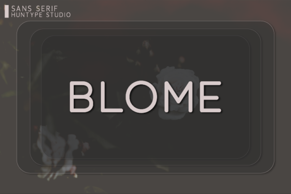 Blome: A Clean Sans Serif Font for Modern Brand Identity