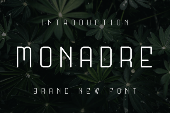 Monadre Typeface: The Secret to Polished Brand Visuals