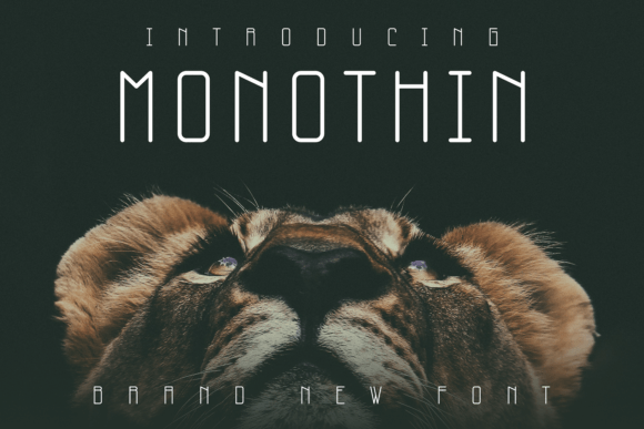 Monothin: A Modern Sans Serif Typeface for Handmade Branding