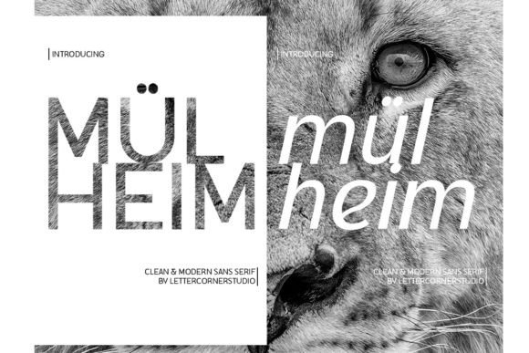 Mulheim Typeface Review: A Balanced Sans Serif for Modern Branding