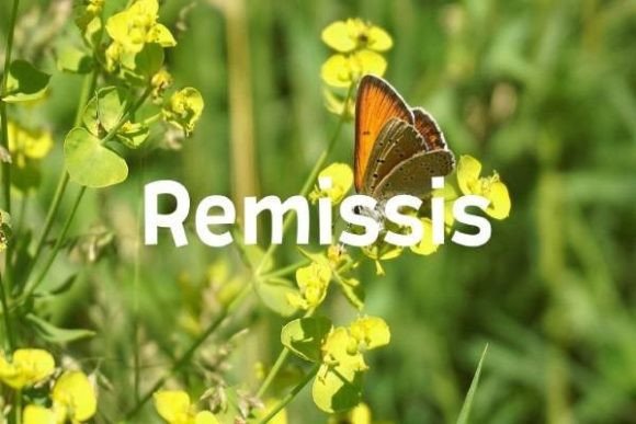 Remissis Typeface Review: Elevating Small Business Branding with Natural Elegance