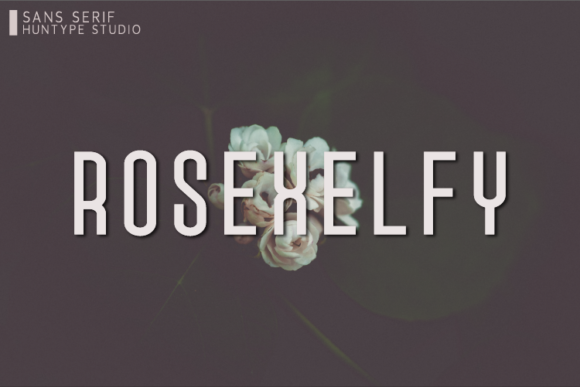 Rosexelfy: The Clean Sans Serif Font for Polished Branding